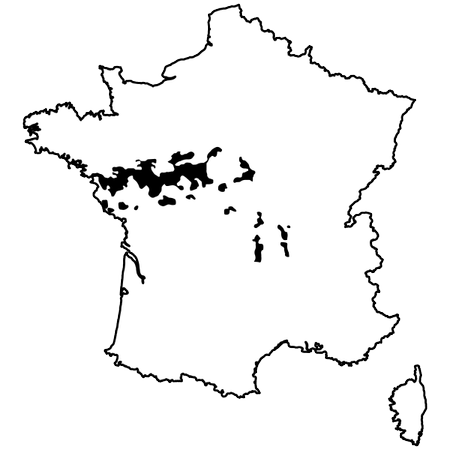 Map of Loire